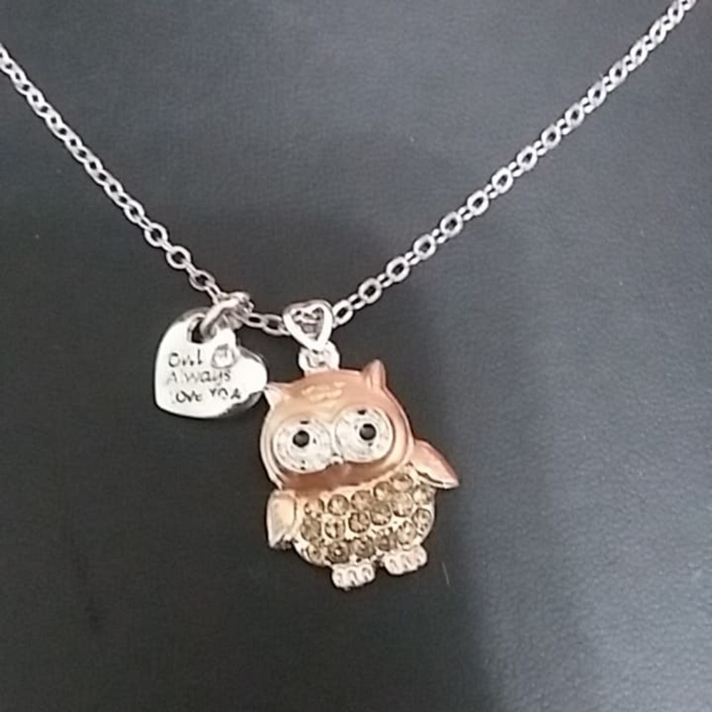 Owl Always Love You Necklace & Earrings set